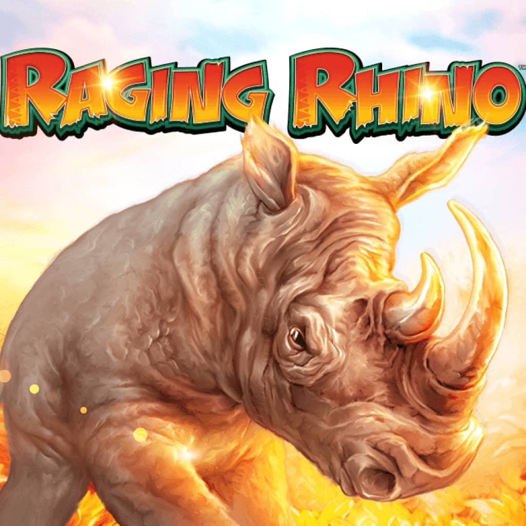 Raging-rhino slot review